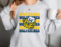 Wolverines x 6