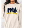 MI